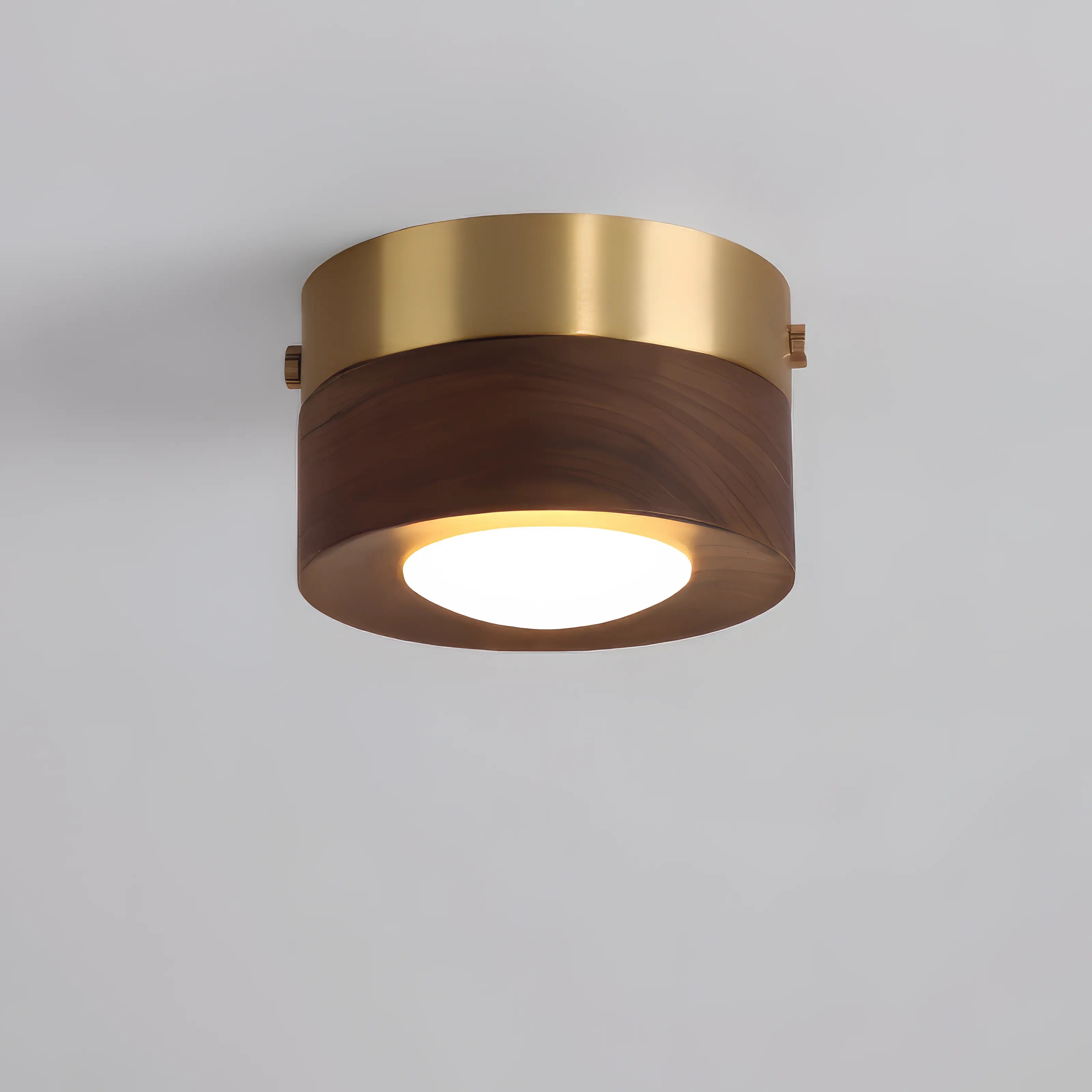 Minimalist Walnut Wooden Flush Mount Ceiling Light Fixture – Dimmable Downlight for Modern Decor 0