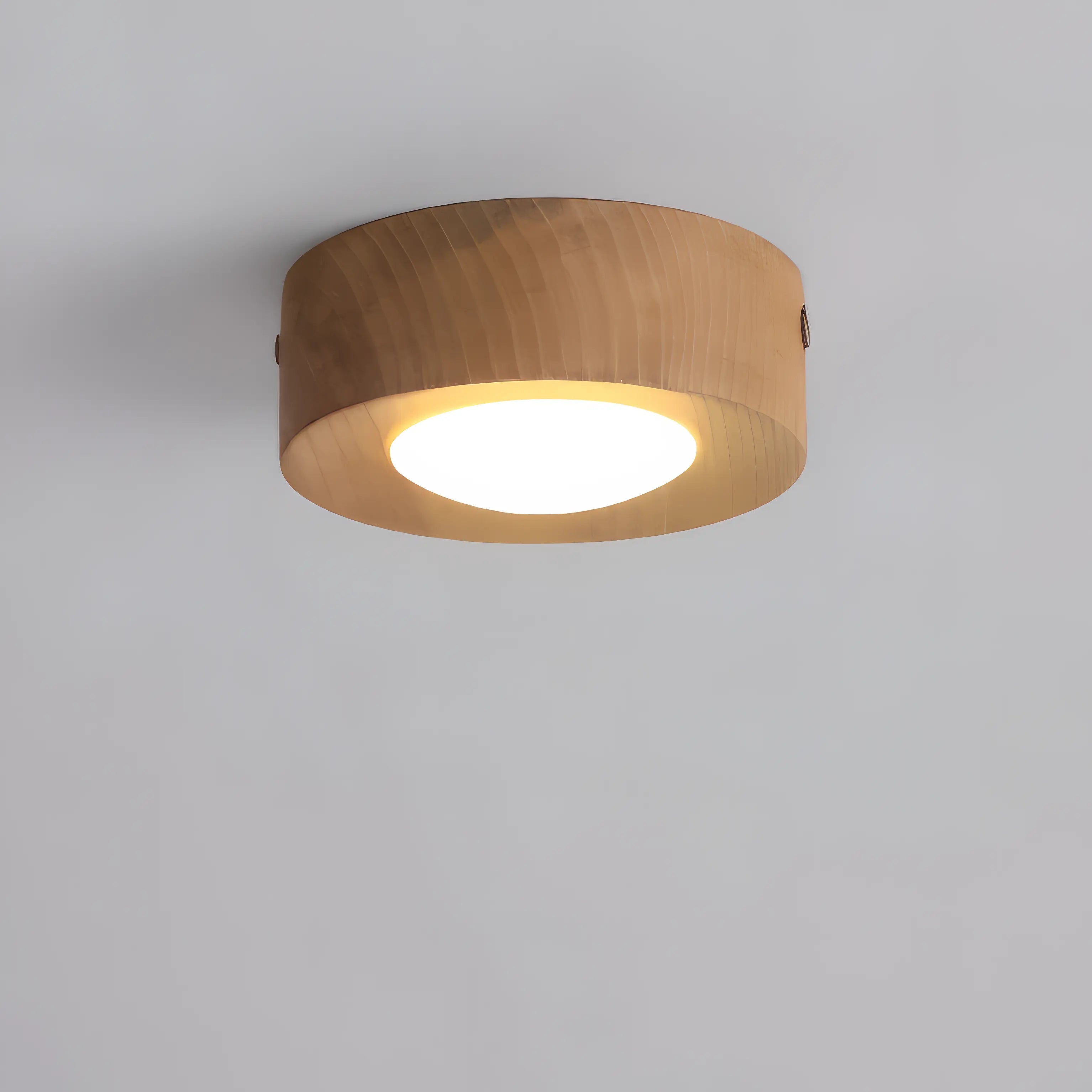 Minimalist Walnut Wooden Flush Mount Ceiling Light Fixture – Dimmable Downlight for Modern Decor 5